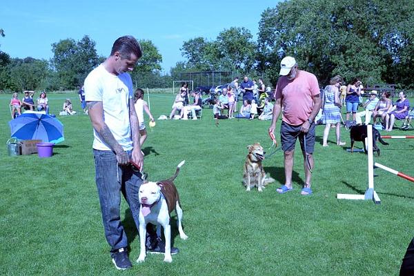 2. Dog Show - lining up for the judge.jpg